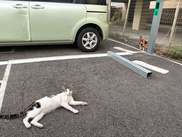 ～自分の感性を信じて言動し毎日1ミリ成長する～待ちわびた朝ごはん・・・