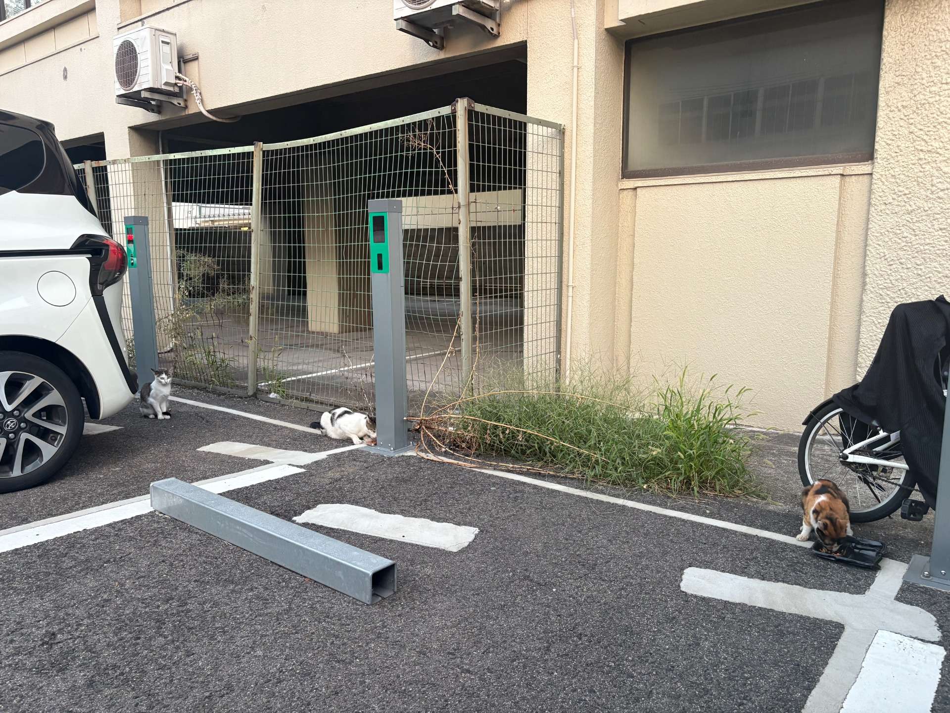 ～自分の感性を信じて言動し毎日1ミリ成長する～モーニングタイムは順番待ち・・・